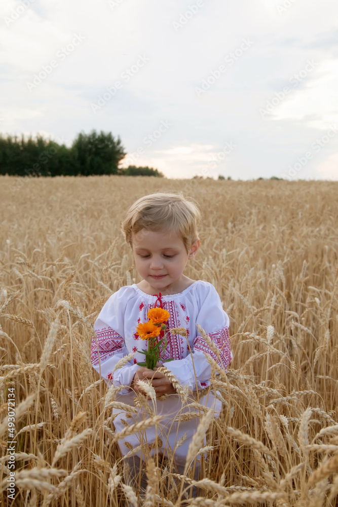Little girl in embroidered shirt on wheat field Little girl in embroidered shirt on wheat field