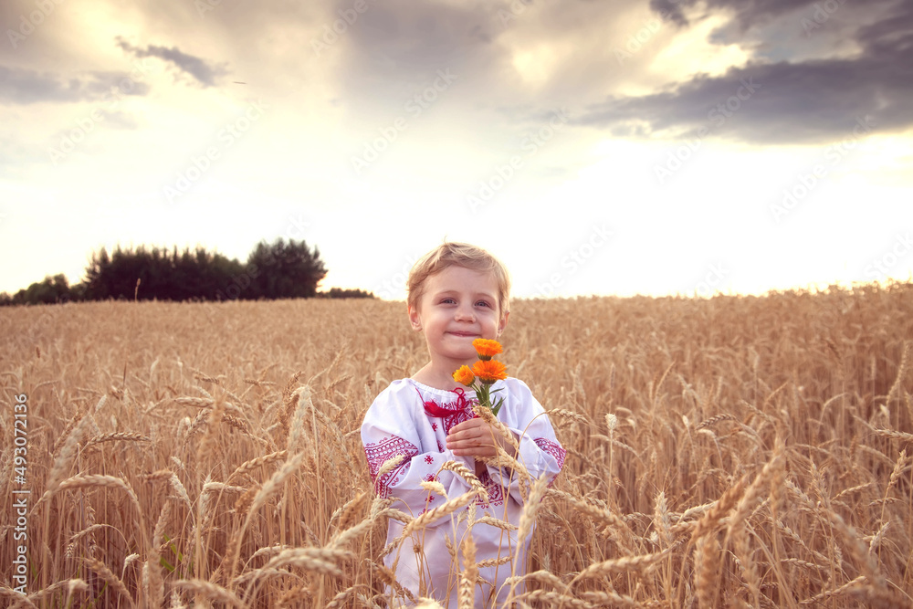 Little girl in embroidered shirt on wheat field Little girl in embroidered shirt on wheat field