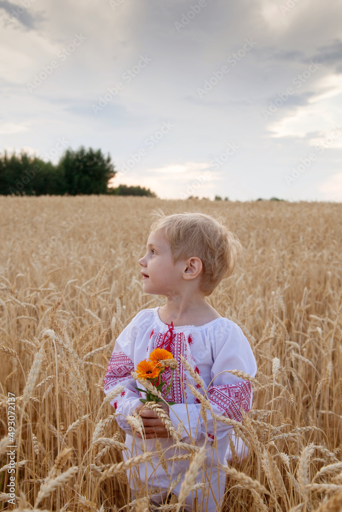 Child in   field of wheat in   embroidered shirt. Ukrainian.