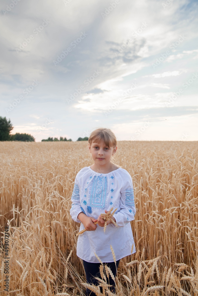 Child in field of wheat in embroidered shirt. Ukrainian. Child in field of wheat in embroidered shirt. Ukrainian.