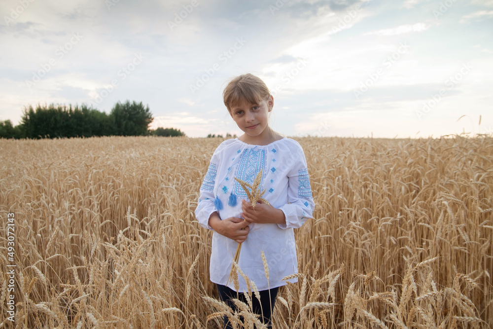 Little girl  in   embroidered shirt on   wheat field