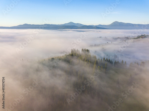 Flight over fog in Ukrainian Carpathians in summer. A thick layer of fog covers the mountains with a solid carpet. Mountains on the horizon. Aerial drone view.