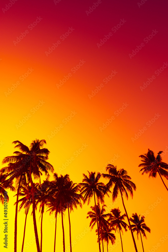 Tropical sunset with coconut palm trees silhouettes on beach with copy-space