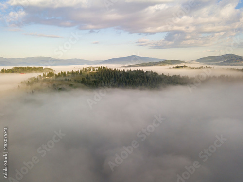 Fototapeta Naklejka Na Ścianę i Meble -  Flight over fog in Ukrainian Carpathians in summer. Mountains on the horizon. A thick layer of fog covers the mountains with a continuous carpet. Aerial drone view.