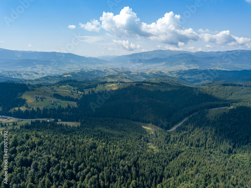 Fototapeta Naklejka Na Ścianę i Meble -  Green mountains of Ukrainian Carpathians in summer. Sunny day. Aerial drone view.