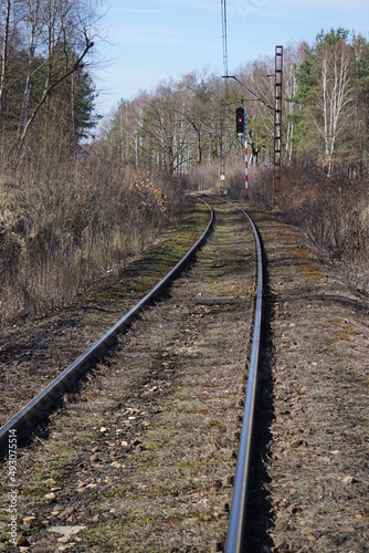 Torowisko kolejowe, zelektryfikowane z świetlną sygnalizacją kolejową w Polsce. Słup sygnalizacyjny z 5 światłami. Tory biegną przez las.