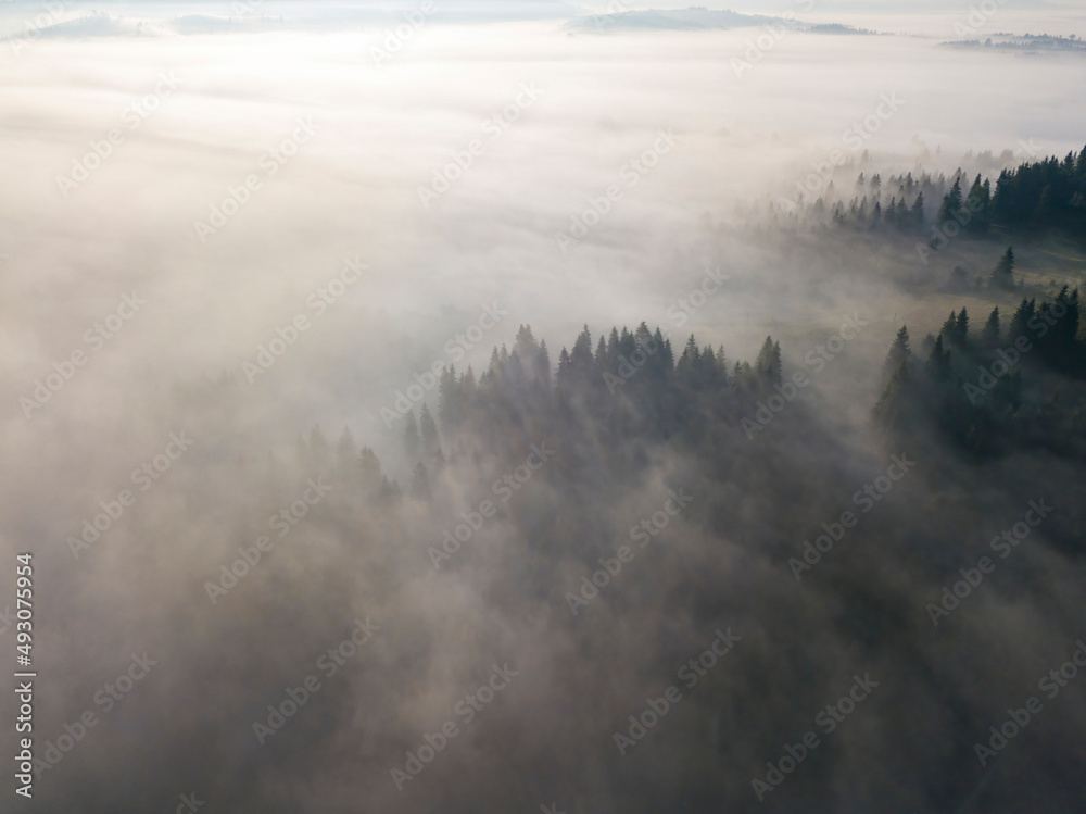 Morning mist in Ukrainian Carpathian mountains. Aerial drone view.