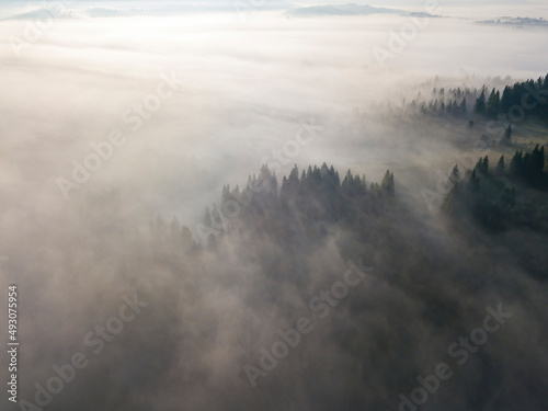 Morning mist in Ukrainian Carpathian mountains. Aerial drone view.