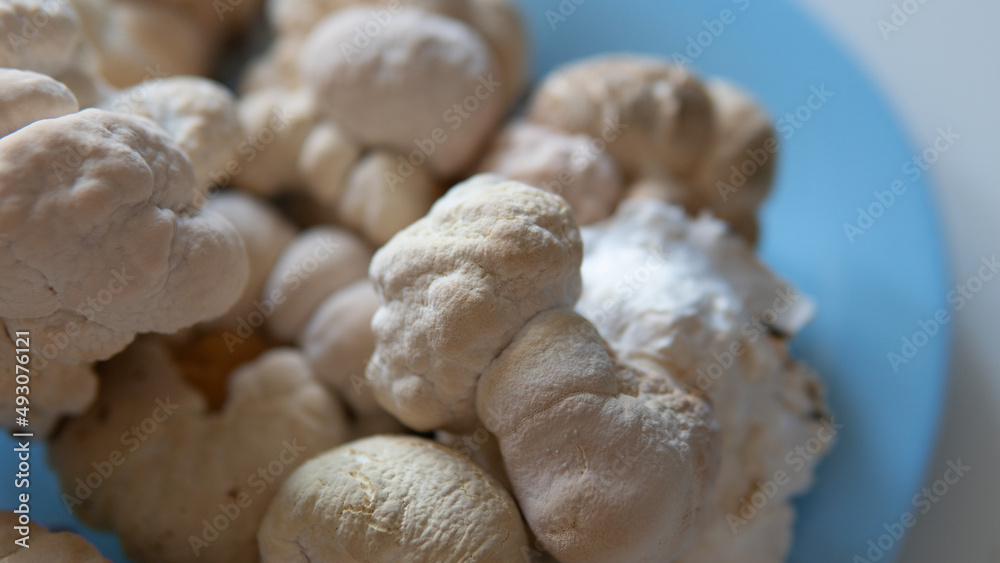 dried fruiting bodies of Hericium erinaceus. dried fruiting bodies of Hericium erinaceus.