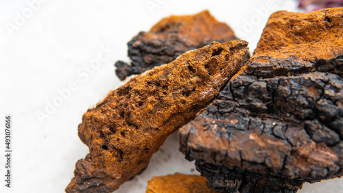 .wild chaga collected on birch trees. Useful mushroom supplements for a healthy life. Betulin - the active ingredient of Inonotus obliquus