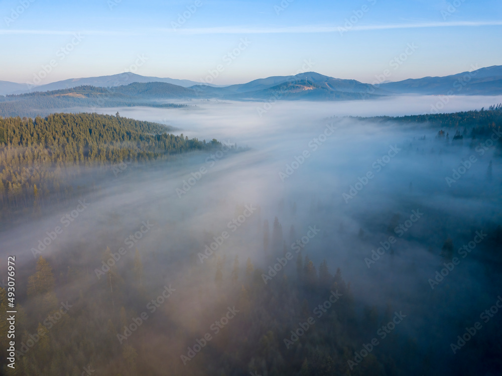 Morning mist in Ukrainian Carpathian mountains. Aerial drone view.