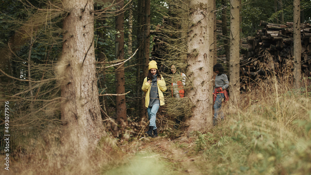 Friends hiking in a dense forest Friends hiking in a dense forest