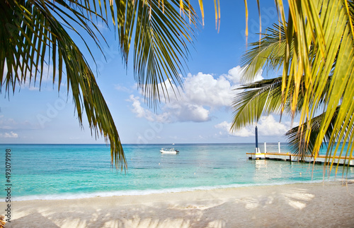 Tropical beach with boat, palm trees and pier on a sunny day