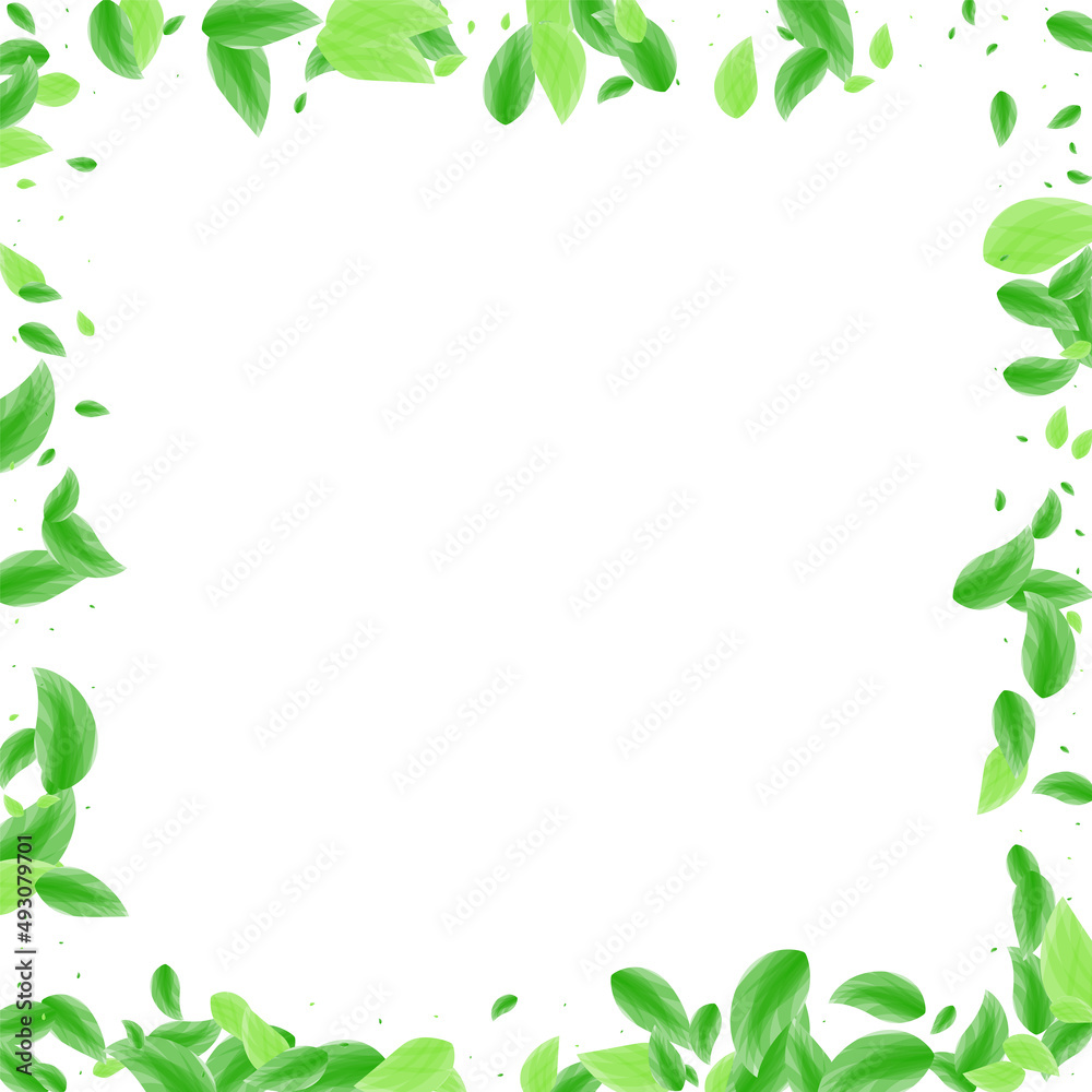 Greenish Plant Background White Vector. Greenery Set Illustration. Garden Card. Green Wild Design. Sheet Growth. Greenish Plant Background White Vector. Greenery Set Illustration. Garden Card. Green Wild Design. Sheet Growth.