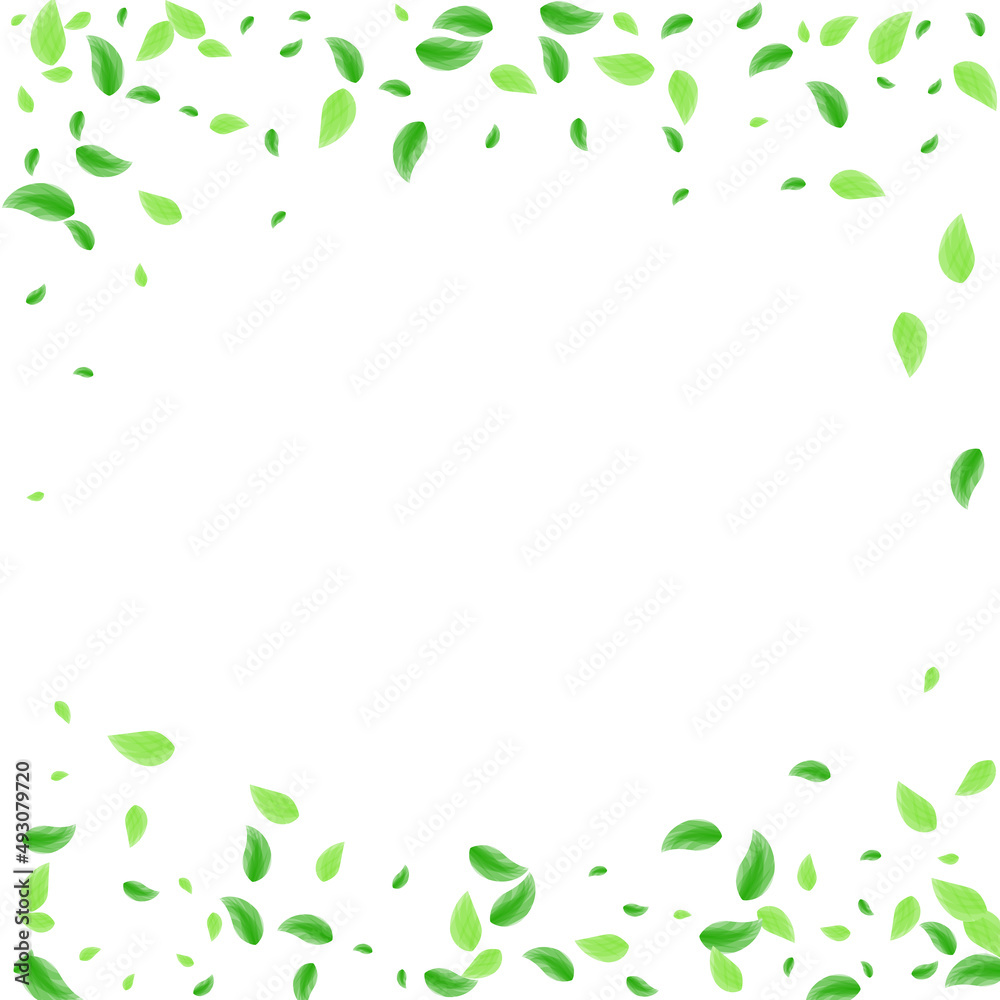 Light Green Greenery Background White Vector. Leaf Copy Design. Style Illustration. Green Peaceful Card. Leaves Flying. Light Green Greenery Background White Vector. Leaf Copy Design. Style Illustration. Green Peaceful Card. Leaves Flying.