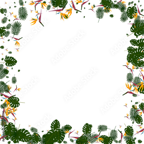 Fototapeta Naklejka Na Ścianę i Meble -  Orange Palm Background White Vector. Leaves Hawaii Texture. Red Foliage. Nature Design. Green Fashion Backdrop.