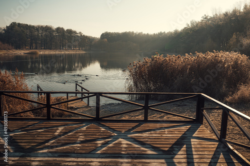 wooden pier on the lake, ducks and forest