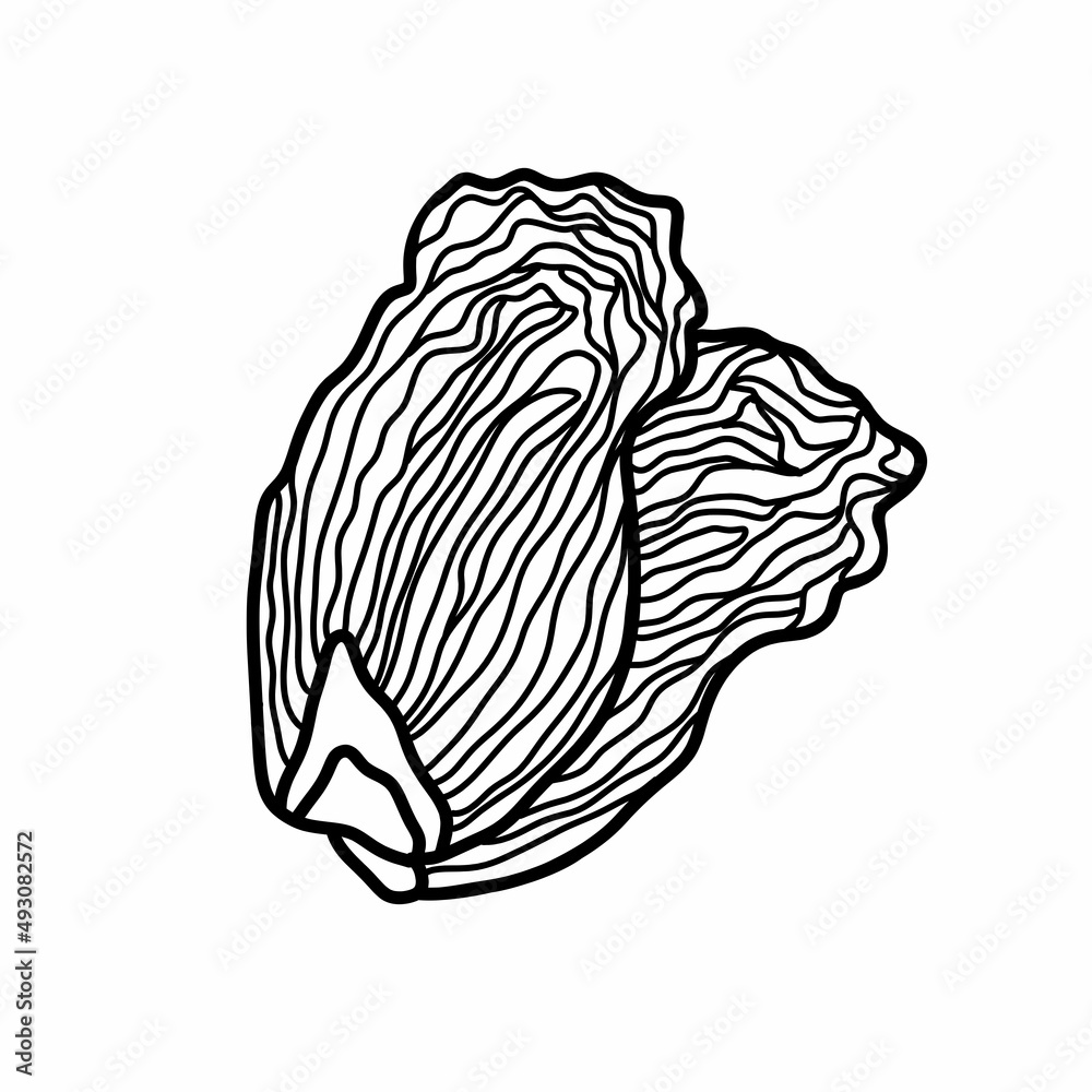 Fototapeta premium kimchi doodle icon, vector color line illustration