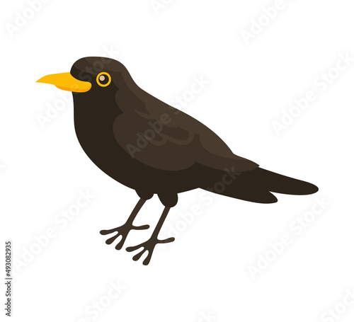 Common Blackbird Isometric Composition