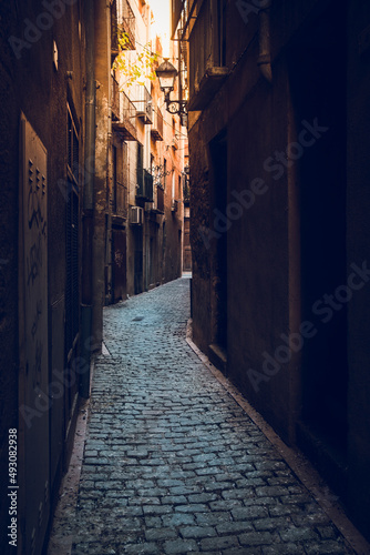 Old town of Tortosa © jjuncadella