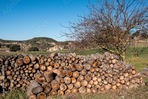 Torres de Arca village. Teruel province