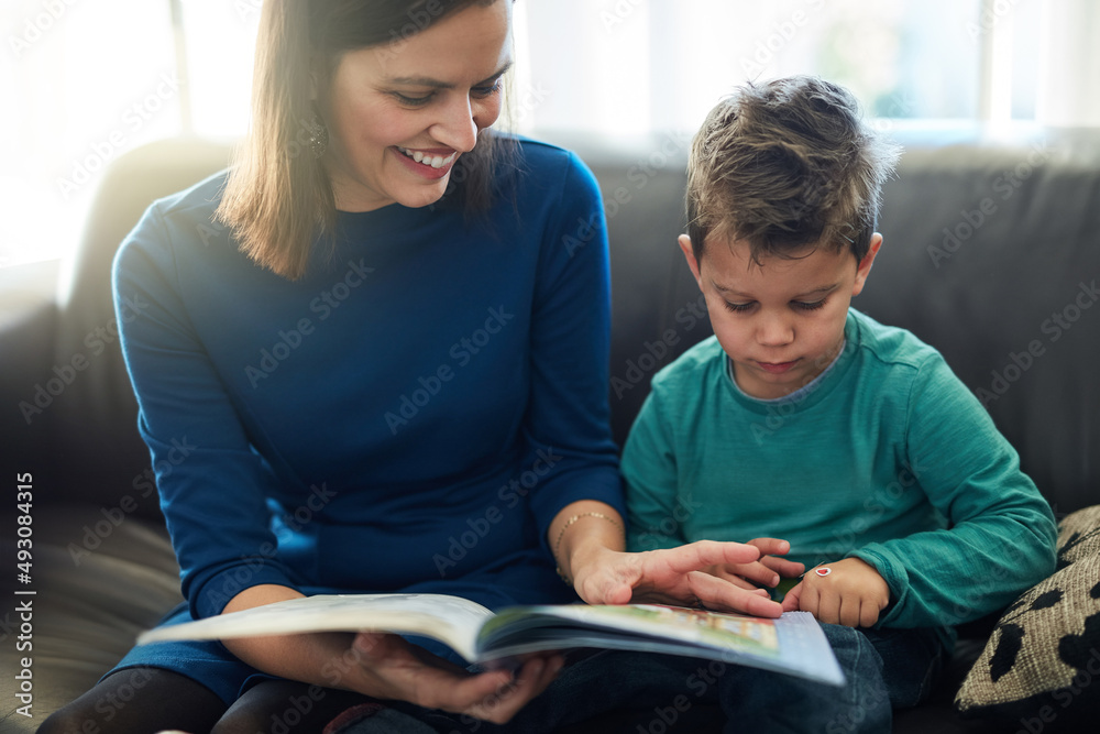 Sharing some special bonding time together. Cropped shot of a mother reading a book to her little son at home. Sharing some special bonding time together. Cropped shot of a mother reading a book to her little son at home.