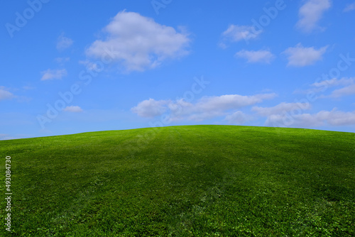 Green grass and blue sky with white clouds