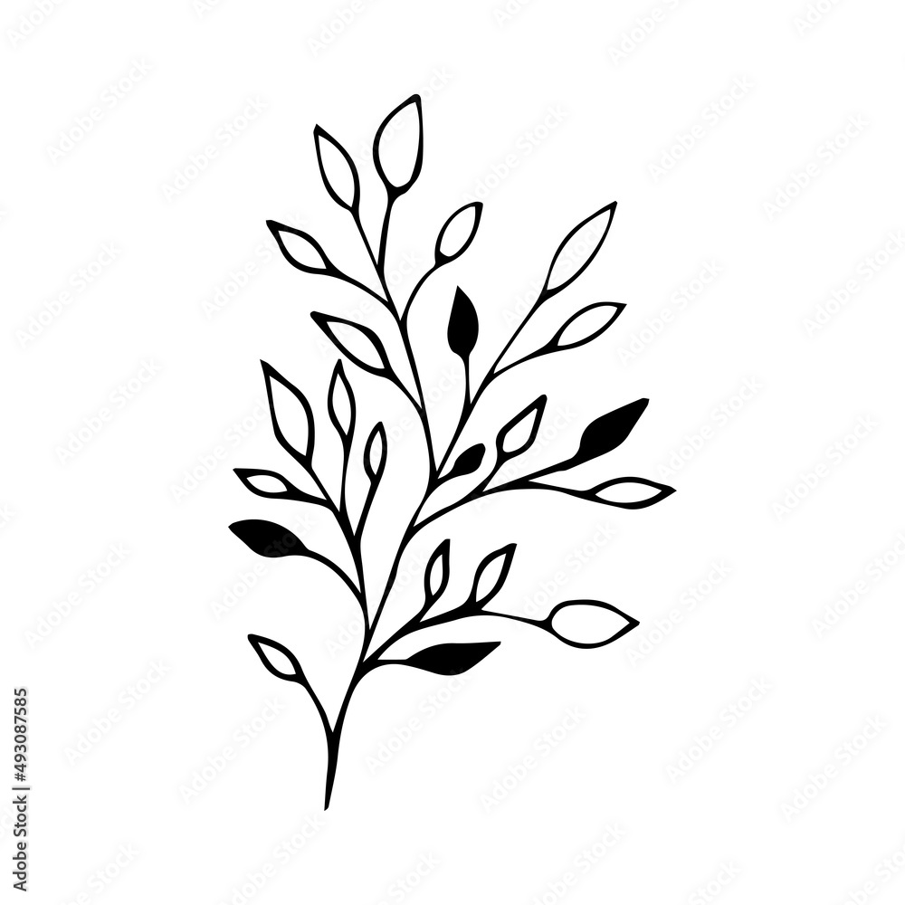 Hand drawn vector branch. Botanical decoration Hand drawn vector branch. Botanical decoration