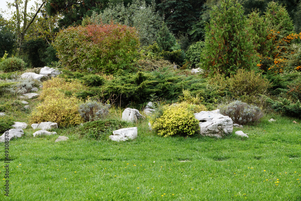 alpine slide of evergreens in the landscape design of the park