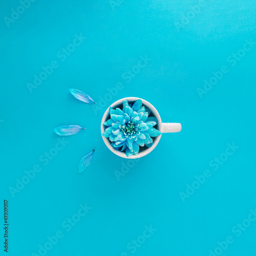 Coffee cup with soft blue blossom flower with petals in. Petals imitating sun rays. Blue background. Nature spring morning concept design idea