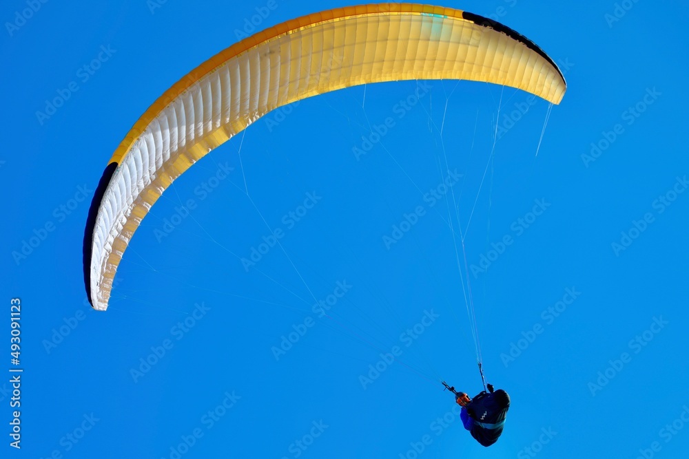 yellow and blue freedom parashute in the sky 