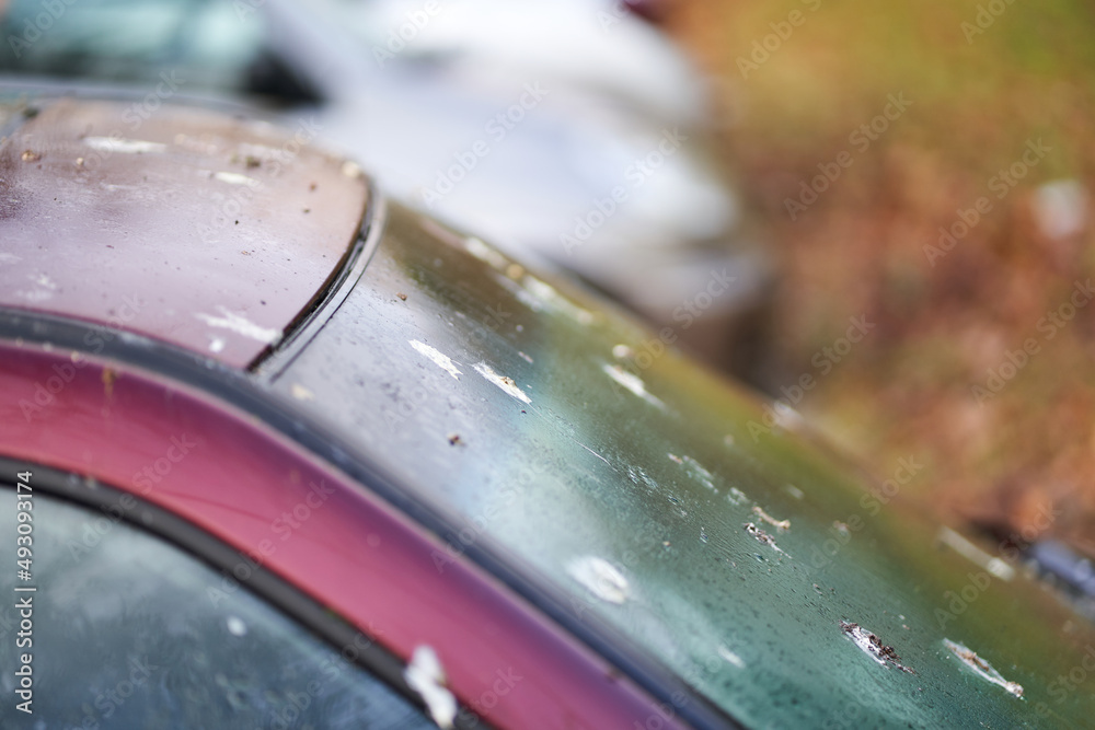 Bird droppings (Vogelkot) on vehicle. Feces from animals cause damage