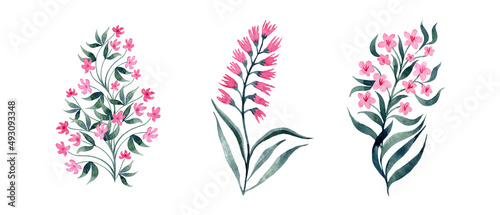 Botanical clipart of wild flowers, hand-painted in watercolor, isolated detailed realistic on a white background. A delicate bouquet.  Watercolor cute pink wildflowers.