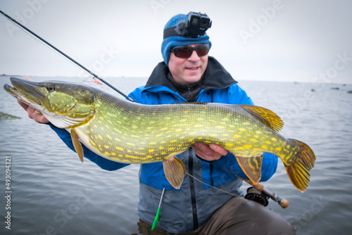 Big pike caught on fly rod in March