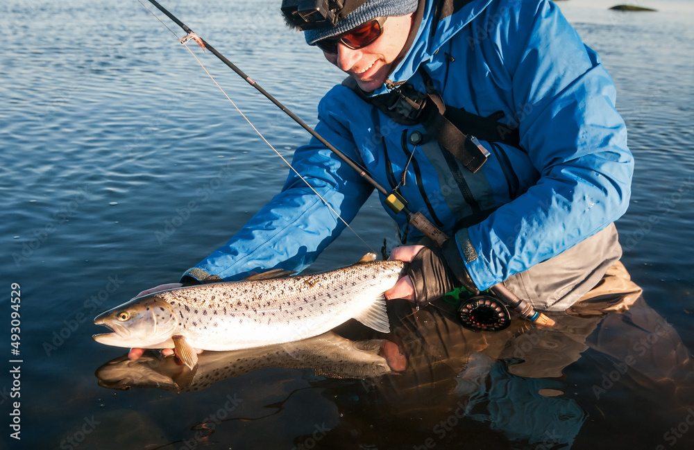 Fly fishing angler releasing the sea trout Fly fishing angler releasing the sea trout