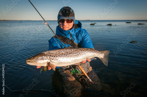 Sea trout - swedish fishing trophy