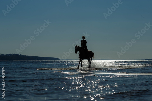 a horse with a rider on the Volga, taken with a contour light