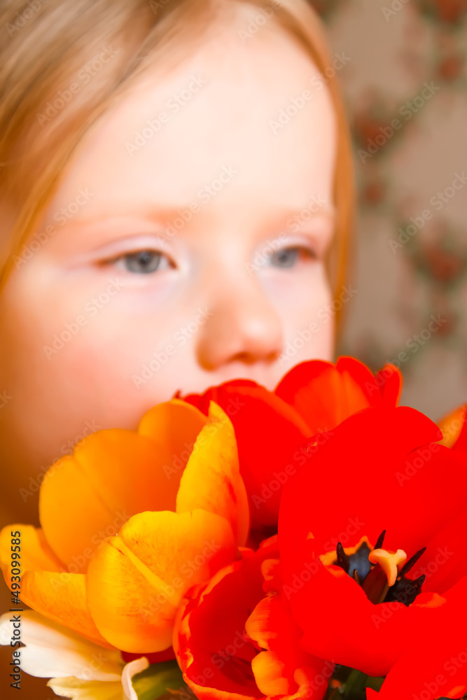Fototapeta premium Little blonde girl with a bouquet of red and yellow tulip flowers. 