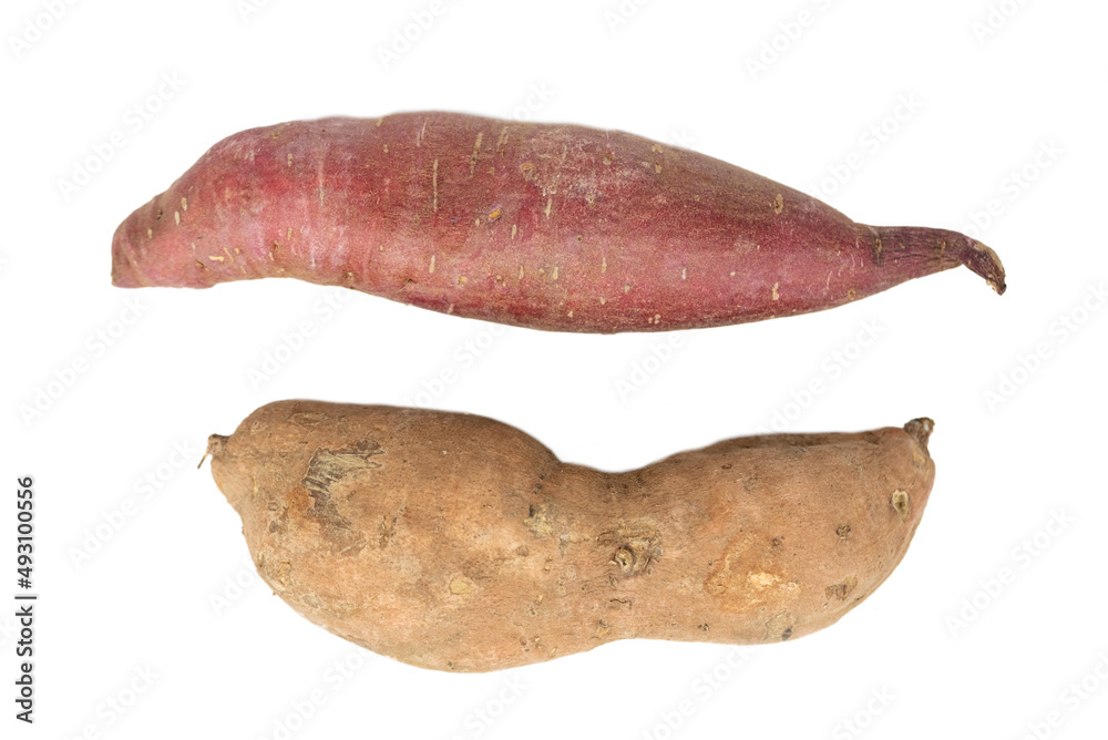The sweet orange and red potato tubers The sweet orange and red potato tubers