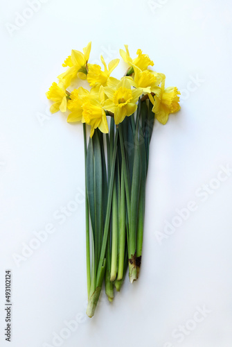 Fototapeta Naklejka Na Ścianę i Meble -  Bellissimo fiore di narciso giallo su sfondo bianco. Direttamente sopra.