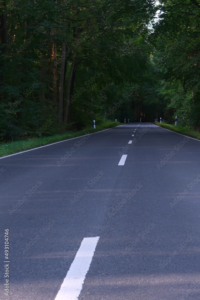 high-speed asphalt road with a white dividing strip goes through a mixed forest, green trees on the sides, concept of travel by car, trip to nature high-speed asphalt road with a white dividing strip goes through a mixed forest, green trees on the sides, concept of travel by car, trip to nature
