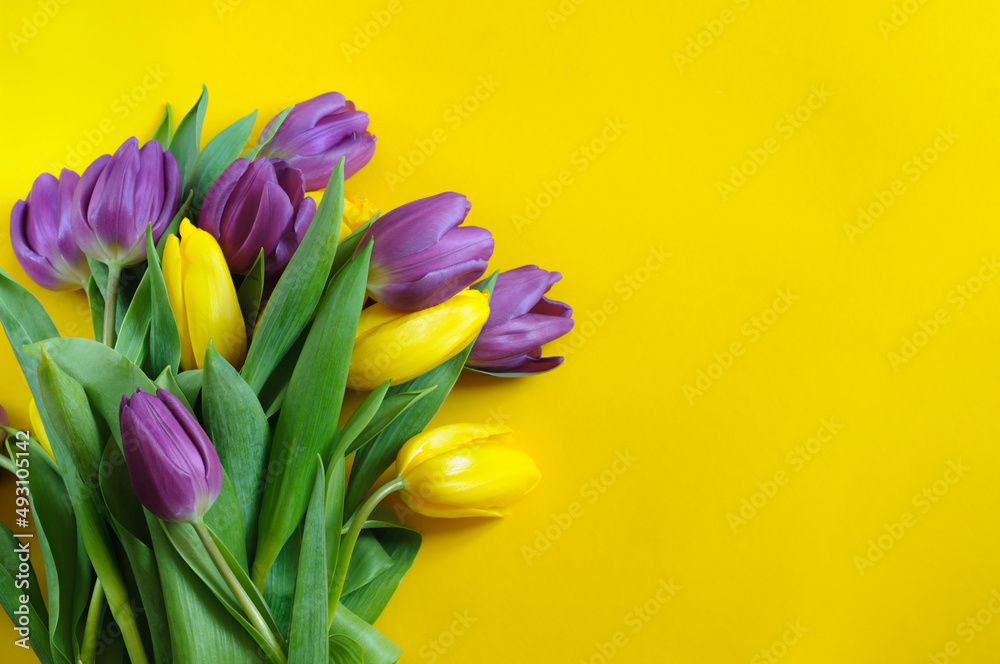 Fresh spring bouquet of tulips on a yellow background. Top view, selective focus. copy space for text Fresh spring bouquet of tulips on a yellow background. Top view, selective focus. copy space for text