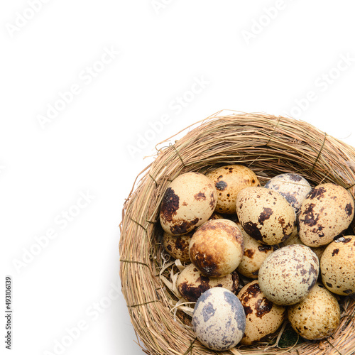 Quail eggs in natural bird ...