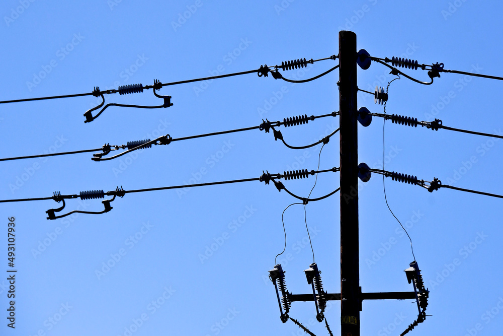 Fuse cutout, tension insulators and jump cables connecting electrical transmission lines. This