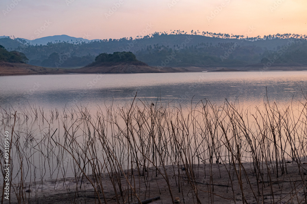 River bank with mud and water