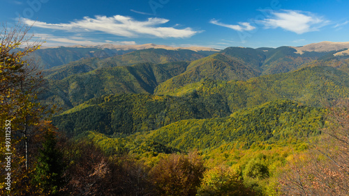 Panoramic view above the old beech forests growing at the feet of Capatanii Mountains. Autumn Season, Carpathia, Romania. 