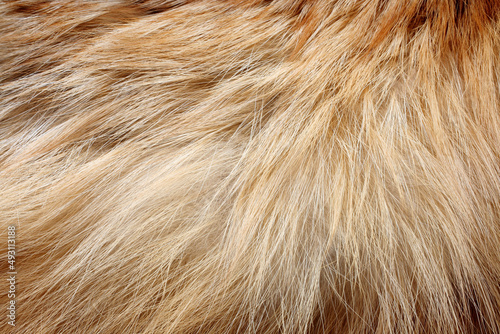 fox fur