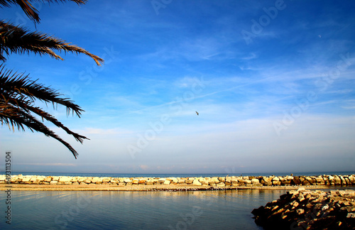 Calm Adriatic sea with numerous rocks and palm tree branches on the left under the blue sky on a sunny day in Pedaso