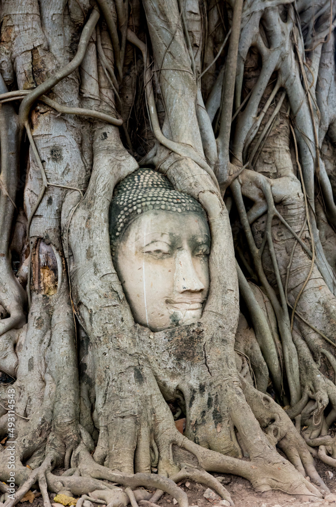 タイ　アユタヤ遺跡：Ayutthaya ruins, Thailand
ワット・マハタート: Wat Phra Mahathat