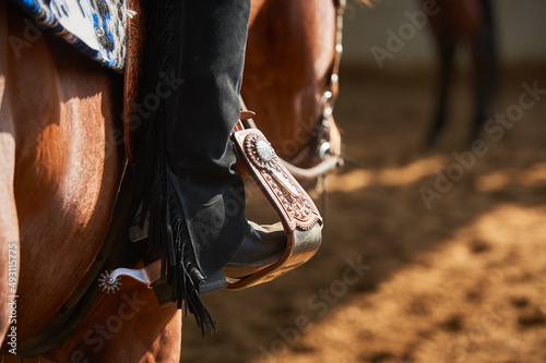 Detail of horses at show © nicole_ciscato